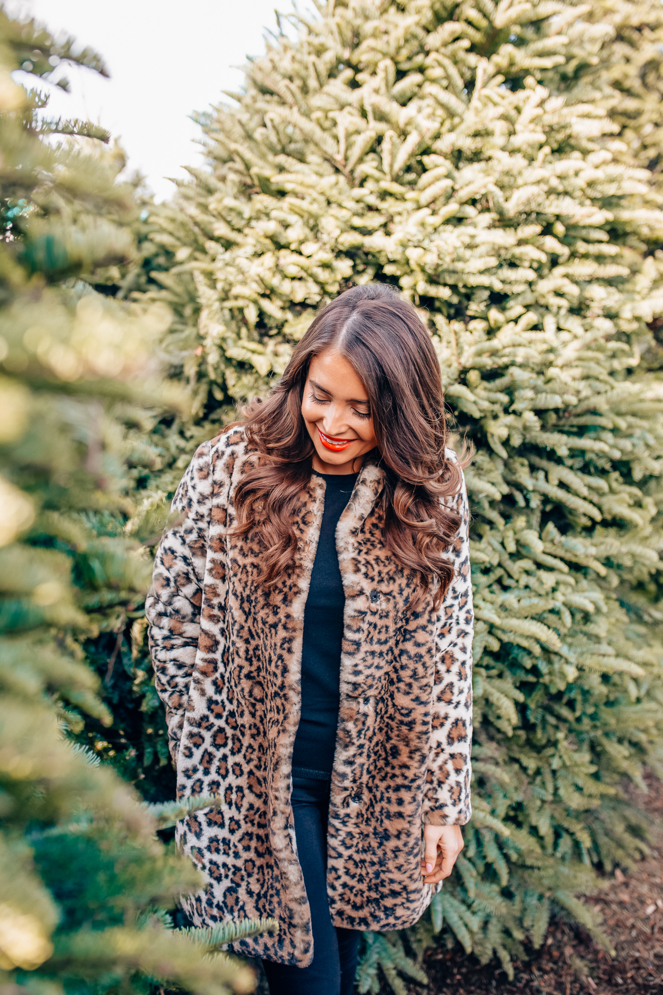 Leopard Holiday style featured by top Orange County fashion blogger, Maxie Elle: image of a woman wearing an Ann Taylor leopard print coat, Ann Taylor 3/4 sleeve black sweater, Ann Taylor black skinny jeans, and Ann Taylor block heel booties