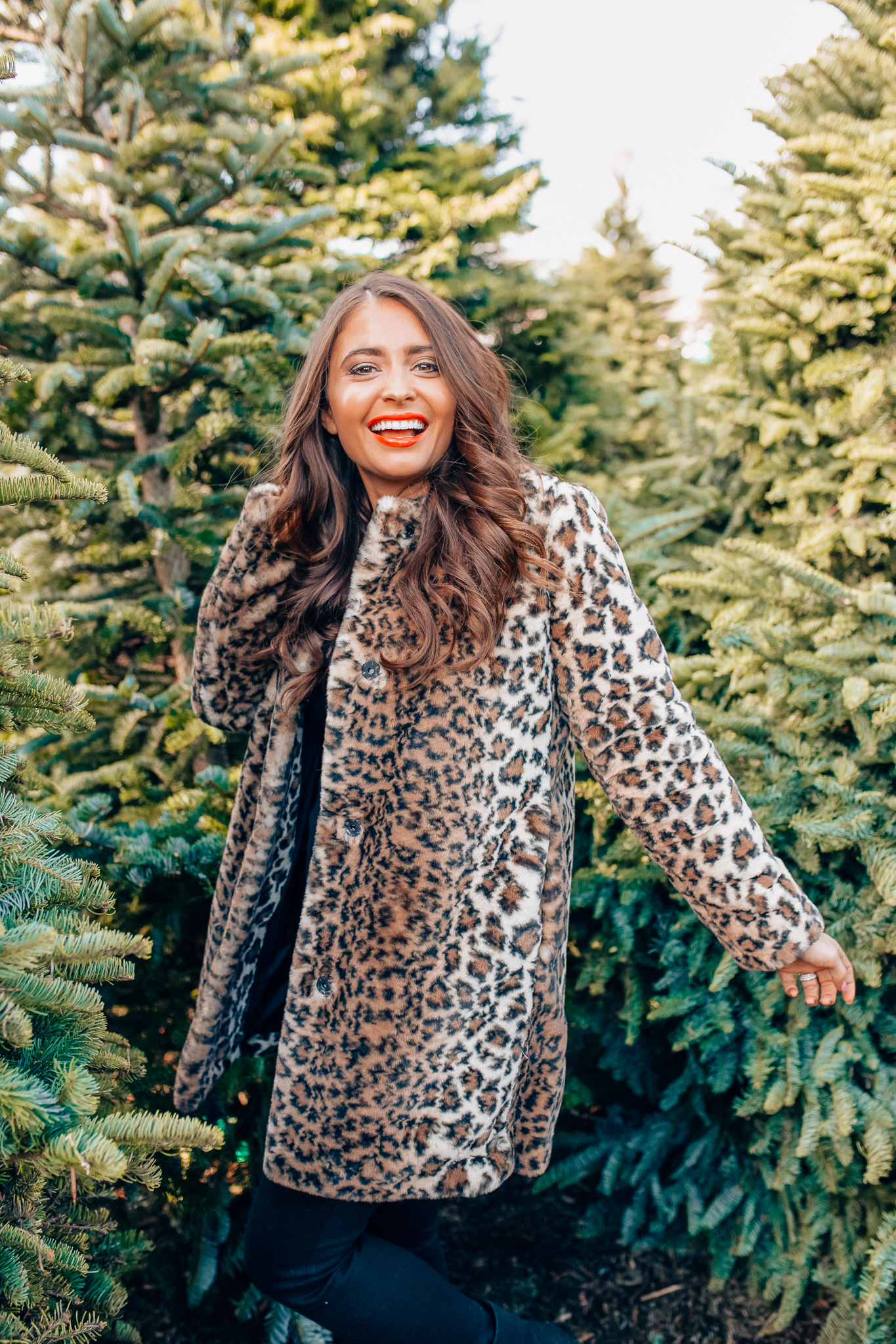 Leopard Holiday style featured by top Orange County fashion blogger, Maxie Elle: image of a woman wearing an Ann Taylor leopard print coat, Ann Taylor 3/4 sleeve black sweater, Ann Taylor black skinny jeans, and Ann Taylor block heel booties