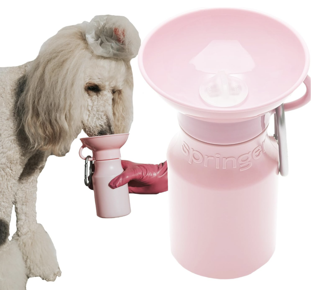 Springer Dog Water Bottle