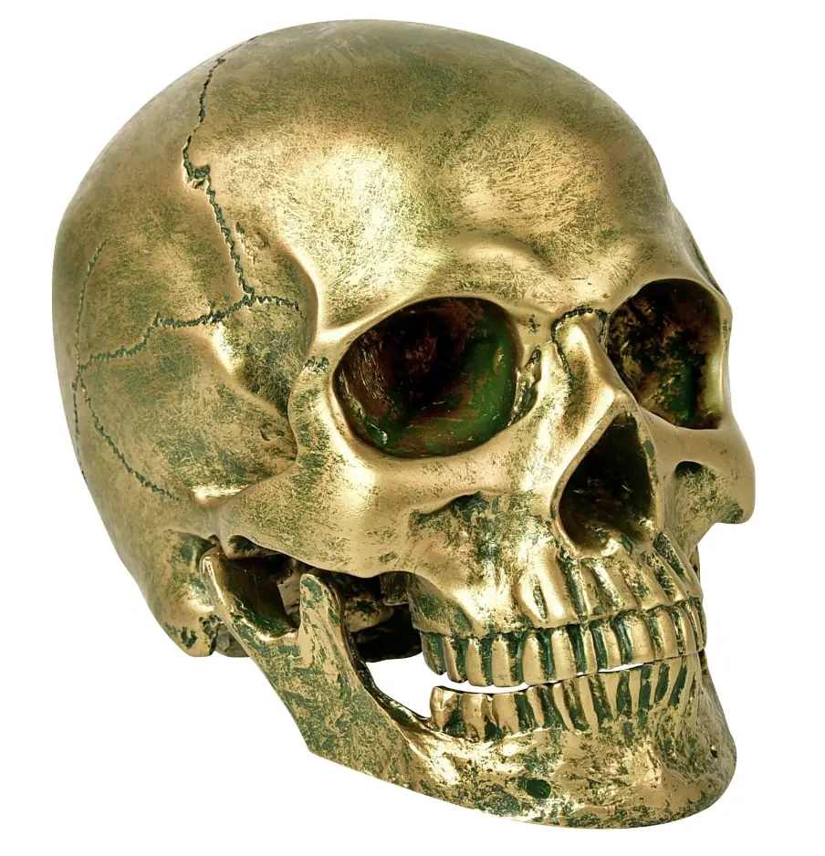 skull decor