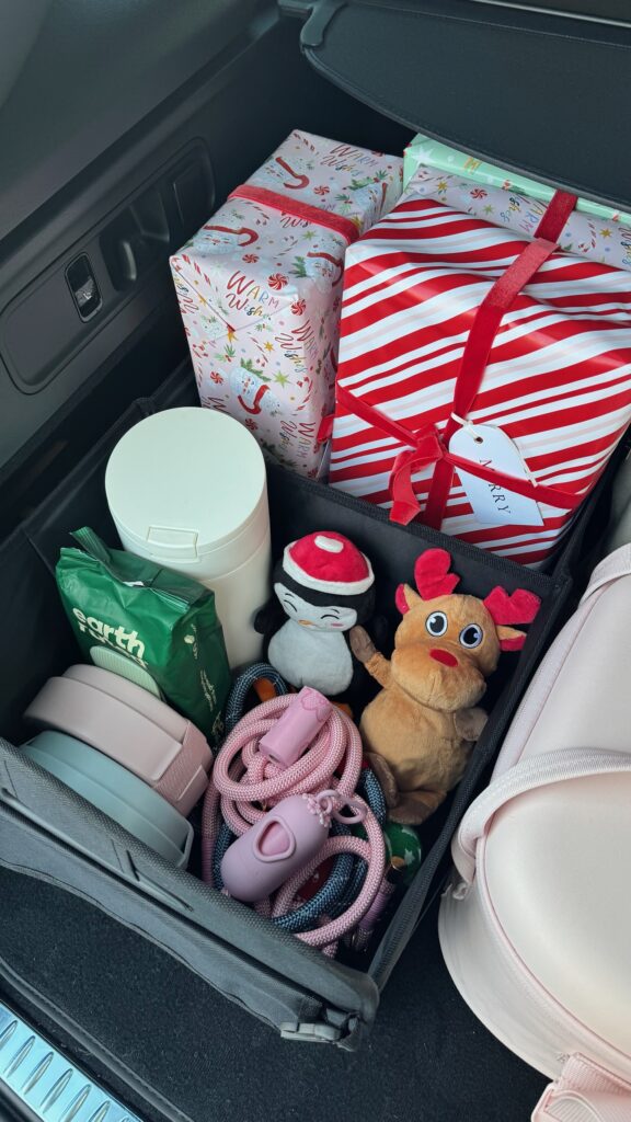 Car Travel with Dog Accessories