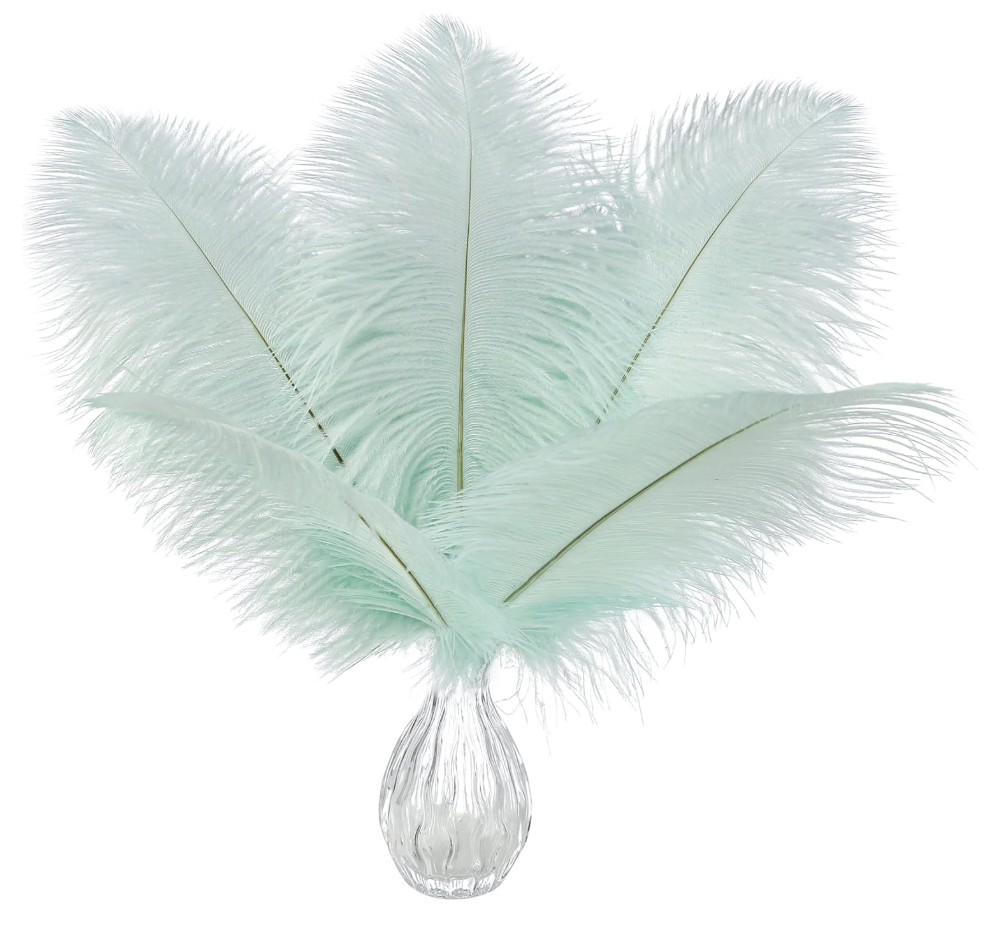 Ballinger Aqua Green Ostrich Feathers